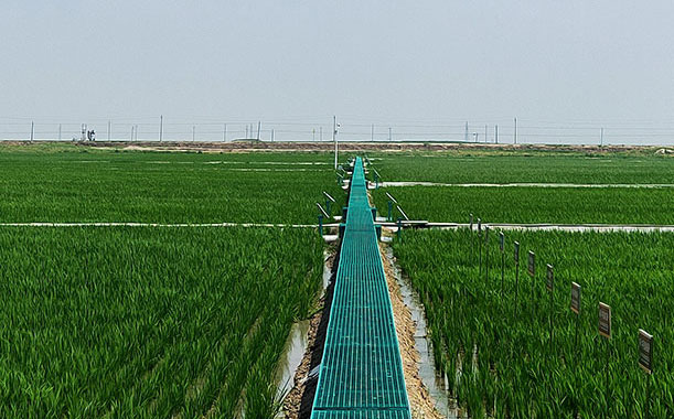 從國(guó)內(nèi)外大環(huán)境看工程機(jī)械發(fā)展動(dòng)向